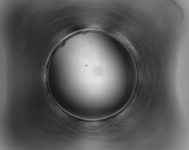 X0000089421292200706151244