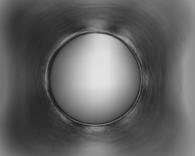 X0000089421294200706151244