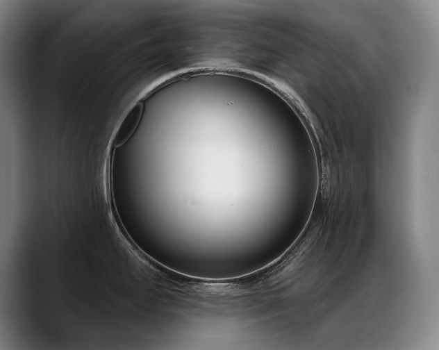 X0000089421295200706151244