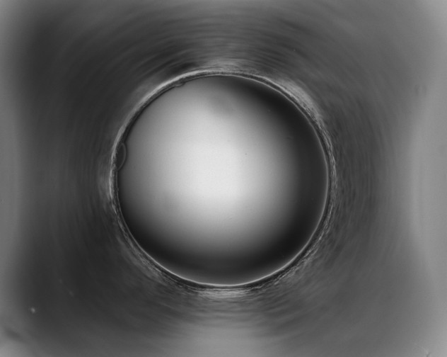 X0000089421296200706151244