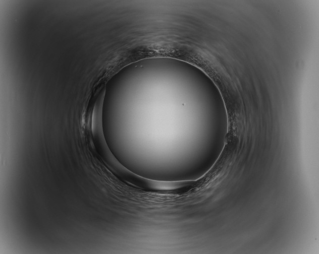 X0000089421298200706151243