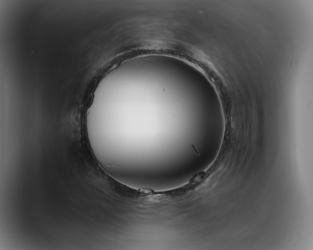X0000089421304200706151243