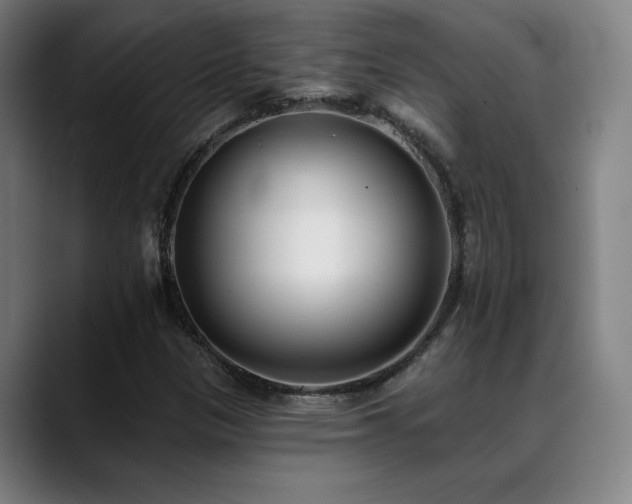 X0000089421305200706151243