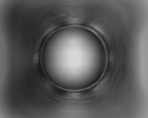 X0000089421309200706151243