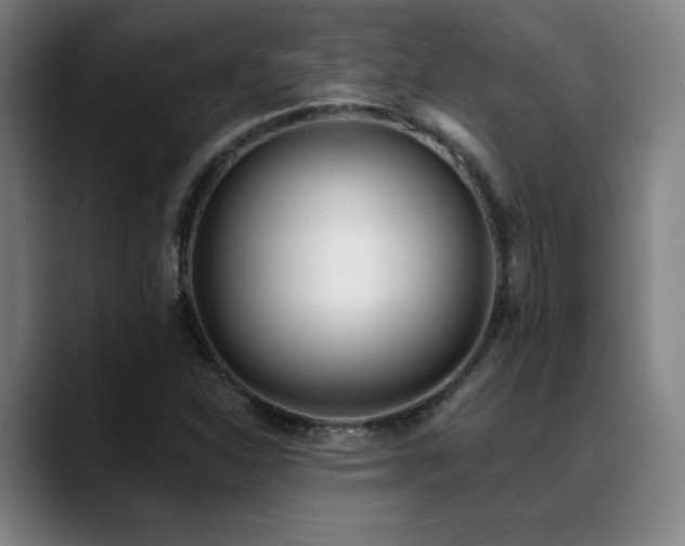 X0000089421310200706151243