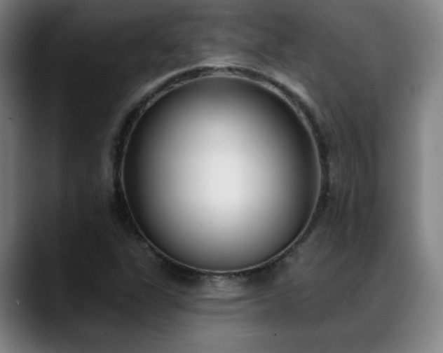X0000089421311200706151243