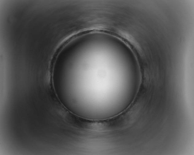 X0000089421316200706151243