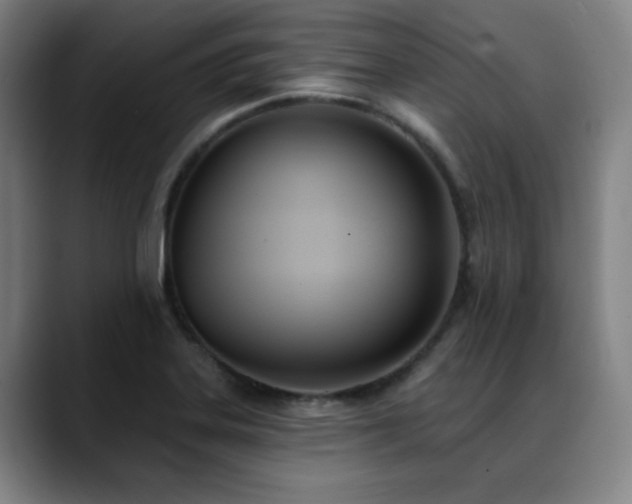 X0000089421323200706151243