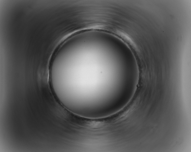 X0000089421324200706151243