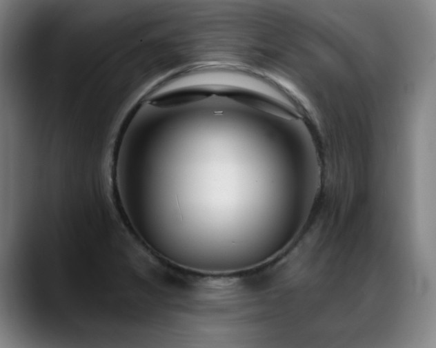 X0000089421325200706151243