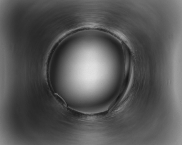 X0000089421326200706151243