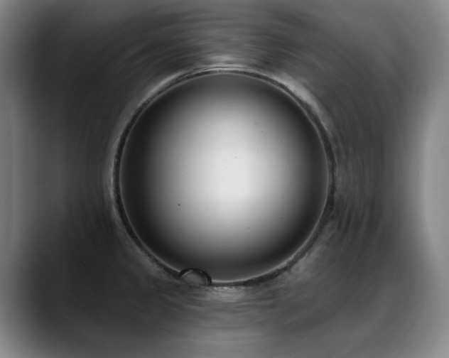 X0000089421333200706151243