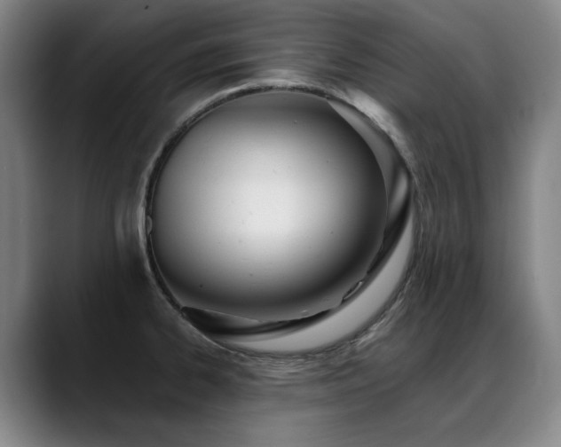 X0000089421334200706151243