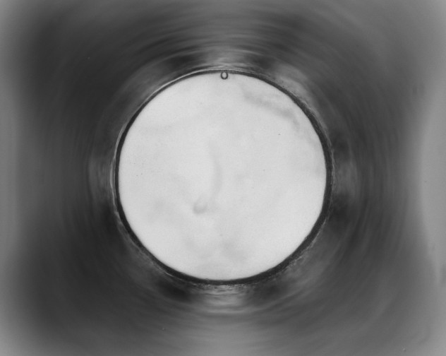 X0000089421338200706151243