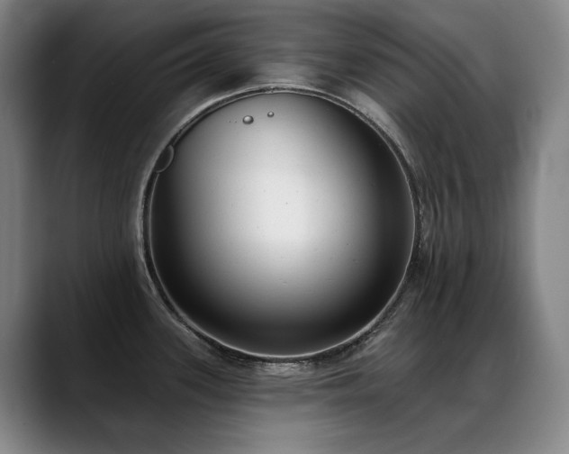 X0000089421339200706151243
