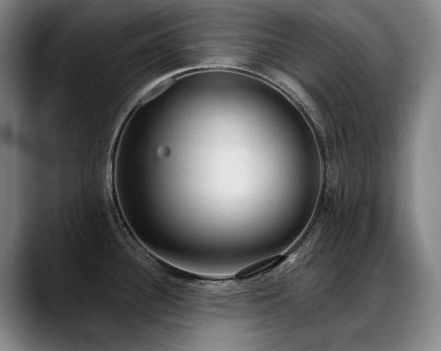 X0000089421340200706151243