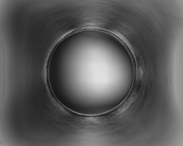 X0000089421341200706151244