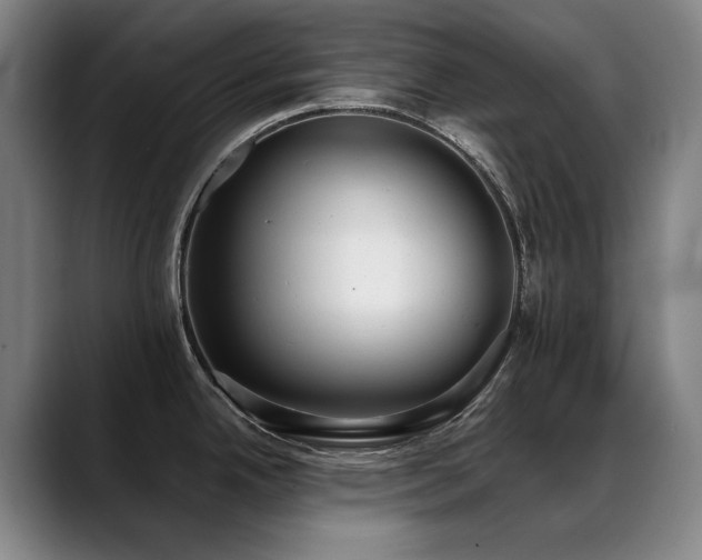 X0000089421342200706151244