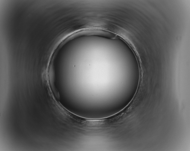 X0000089421344200706151244