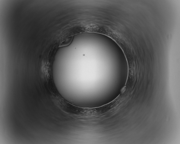 X0000089421346200706151243