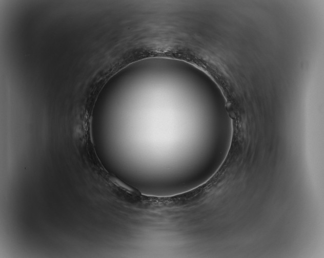 X0000089421349200706151243