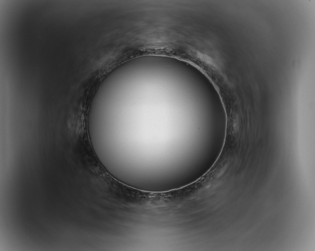 X0000089421350200706151243