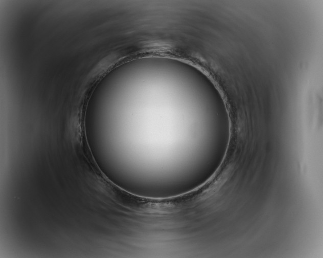 X0000089421354200706151243
