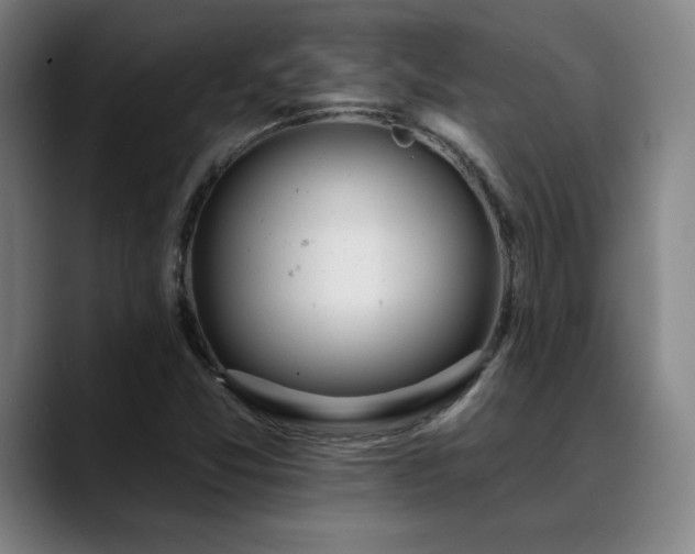 X0000089421357200706151243