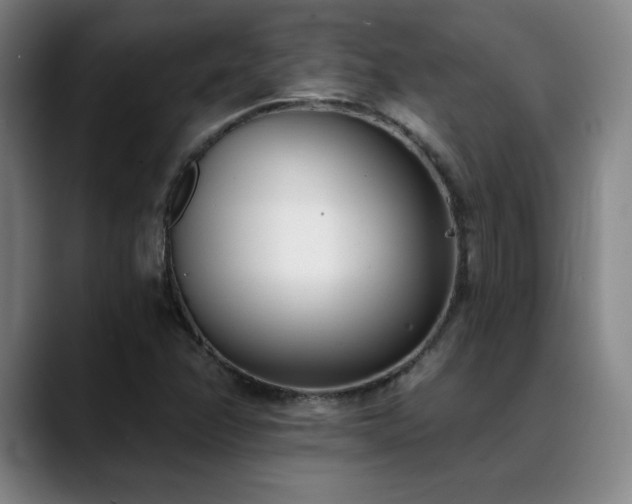 X0000089421358200706151243