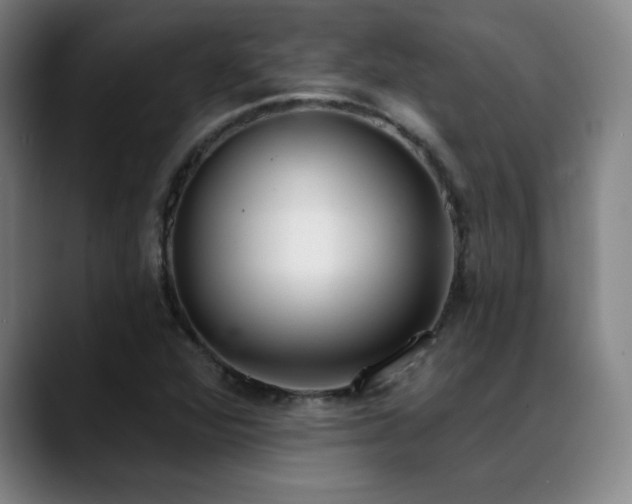 X0000089421360200706151243