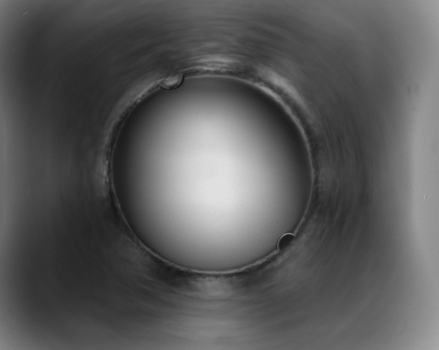 X0000089421362200706151243