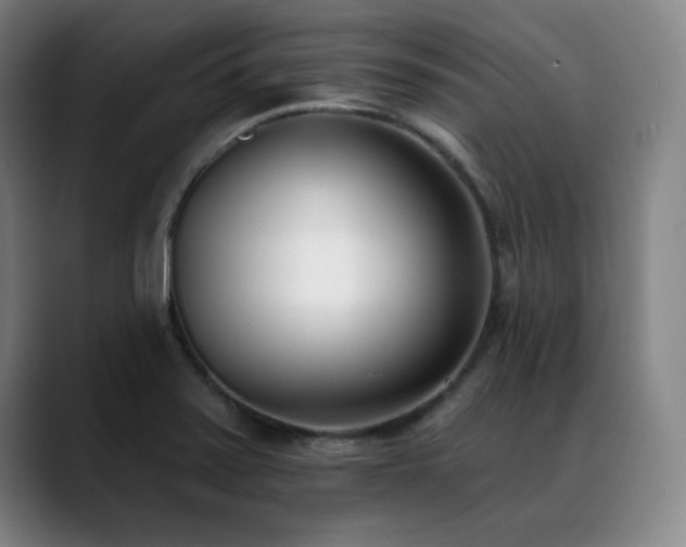 X0000089421371200706151243