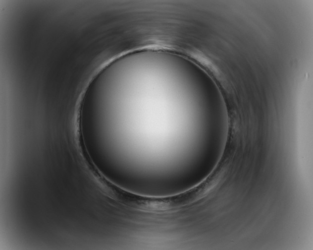 X0000089421375200706151243