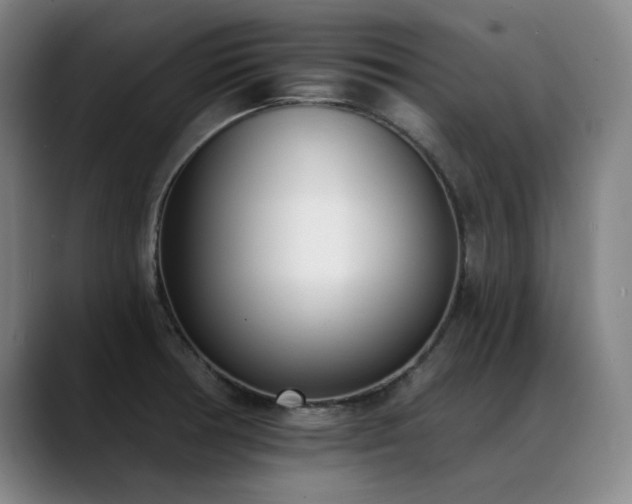 X0000089421378200706151243