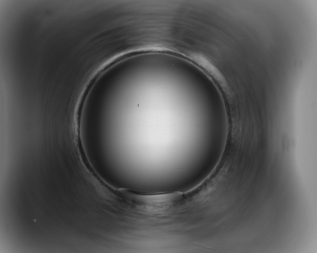 X0000089421380200706151243