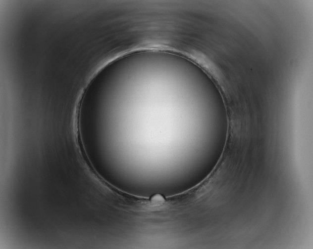 X0000089421382200706151243