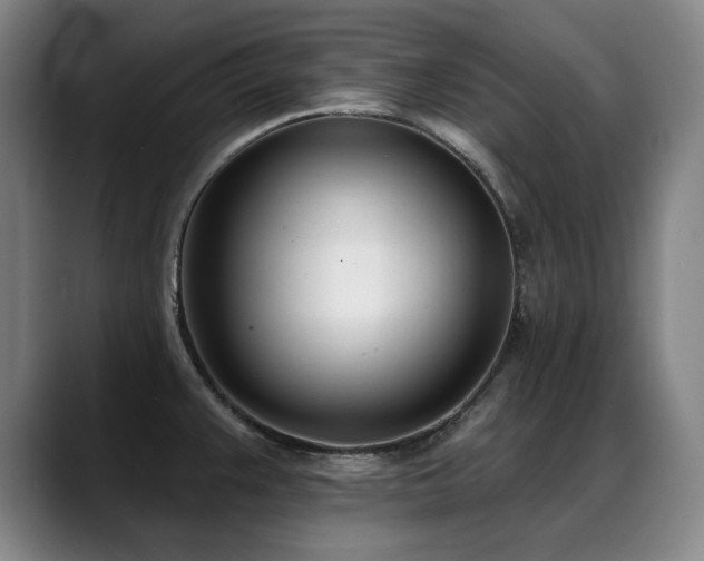 X0000089421383200706151243