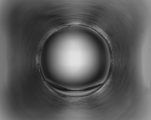 X0000089421385200706151243