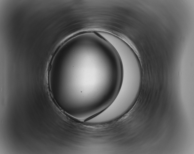 X0000089421388200706151242