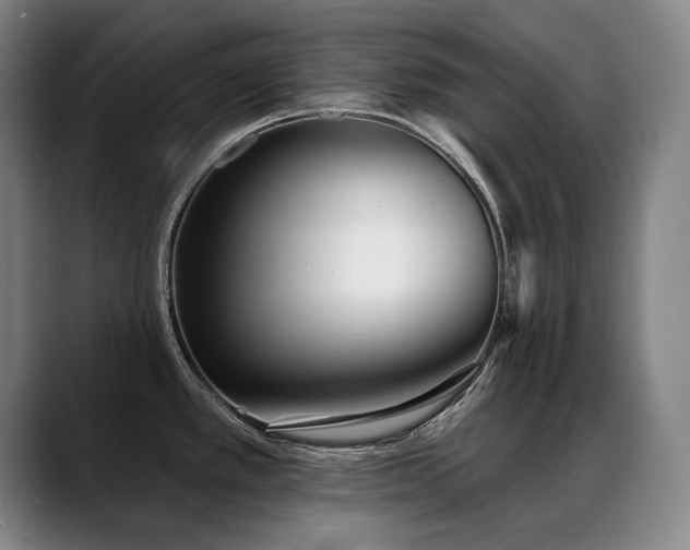 X0000089421389200706151242