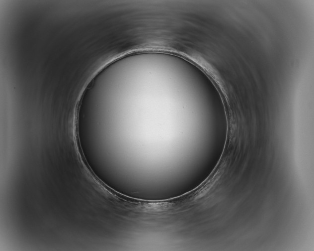 X0000089421390200706151242