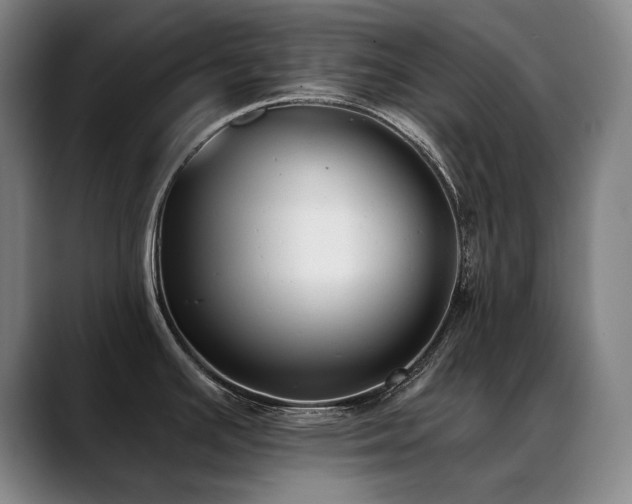 X0000089421391200706151242