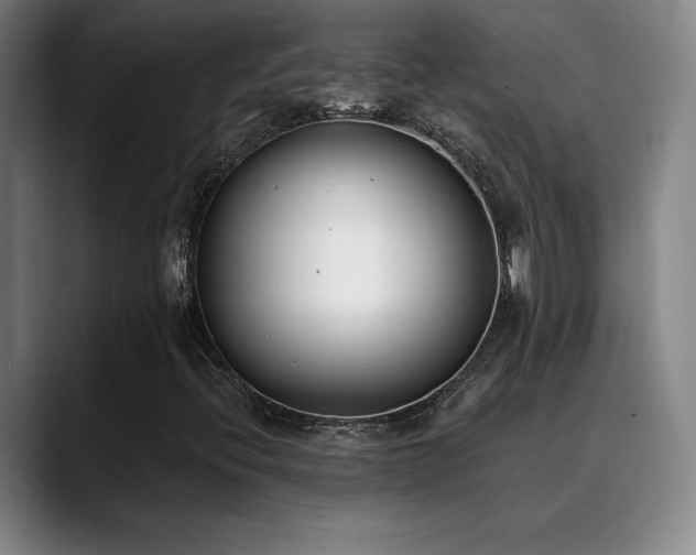 X0000089421396200706151242
