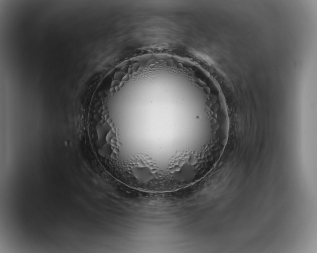 X0000089421399200706151242
