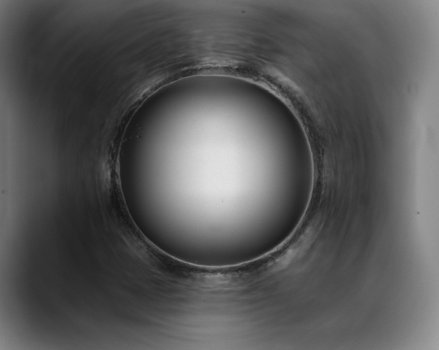 X0000089421401200706151242