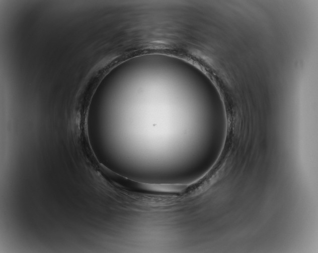 X0000089421402200706151242