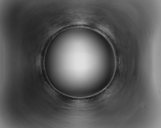 X0000089421404200706151242