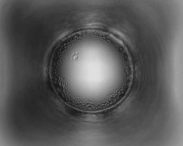 X0000089421405200706151242