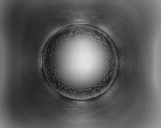 X0000089421413200706151242