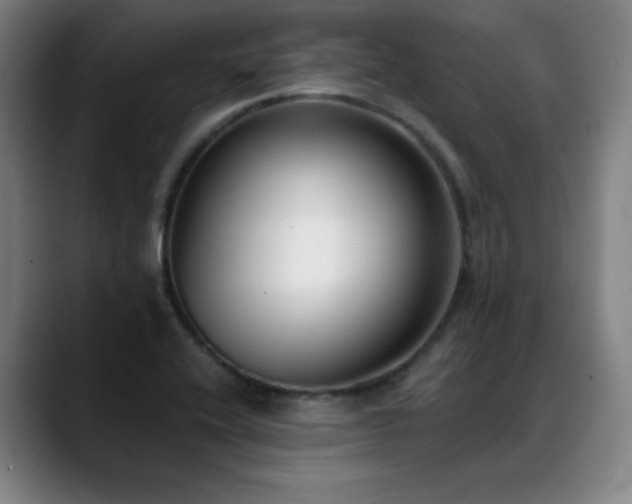 X0000089421416200706151242